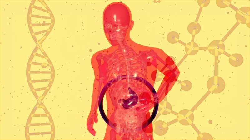 gut microbiota